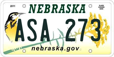 NE license plate ASA273