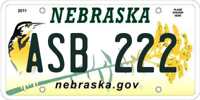NE license plate ASB222