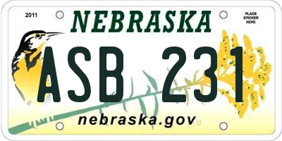NE license plate ASB231
