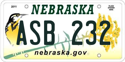 NE license plate ASB232