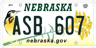 NE license plate ASB607