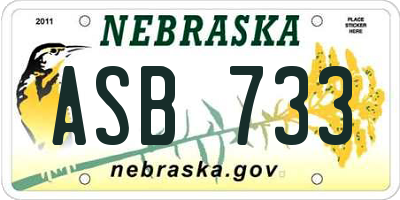 NE license plate ASB733