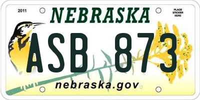 NE license plate ASB873
