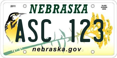 NE license plate ASC123
