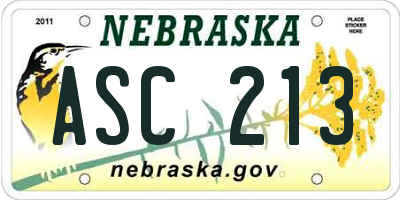 NE license plate ASC213