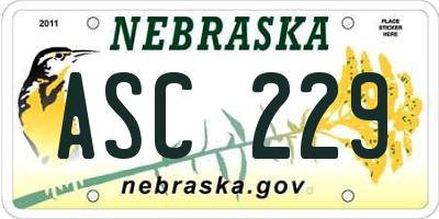 NE license plate ASC229