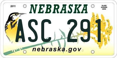 NE license plate ASC291