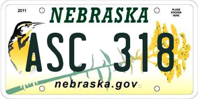 NE license plate ASC318