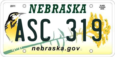 NE license plate ASC319