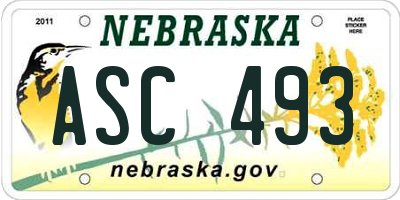 NE license plate ASC493