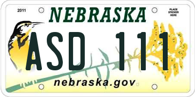 NE license plate ASD111