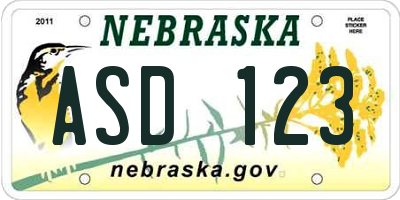 NE license plate ASD123