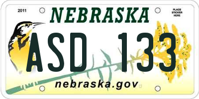 NE license plate ASD133