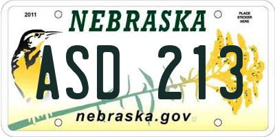 NE license plate ASD213