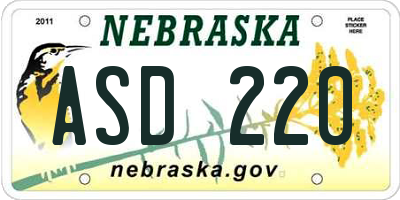 NE license plate ASD220