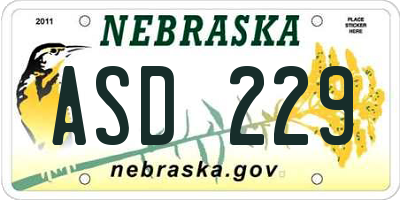 NE license plate ASD229