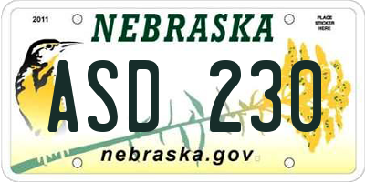 NE license plate ASD230