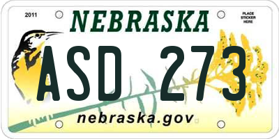 NE license plate ASD273