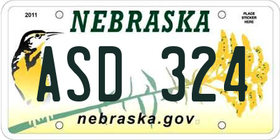 NE license plate ASD324