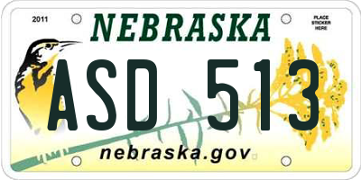 NE license plate ASD513