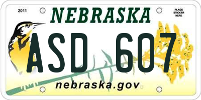 NE license plate ASD607