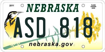 NE license plate ASD818