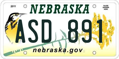 NE license plate ASD891