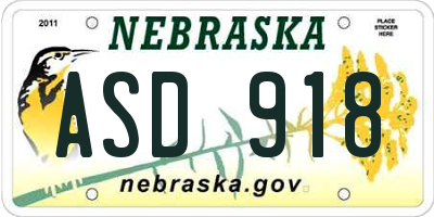 NE license plate ASD918