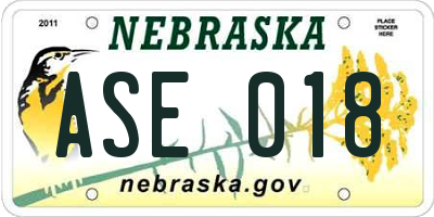 NE license plate ASE018