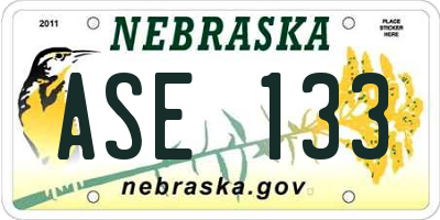 NE license plate ASE133
