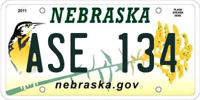 NE license plate ASE134
