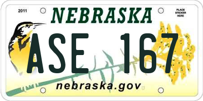 NE license plate ASE167