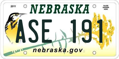 NE license plate ASE191