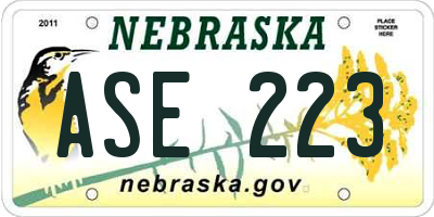 NE license plate ASE223