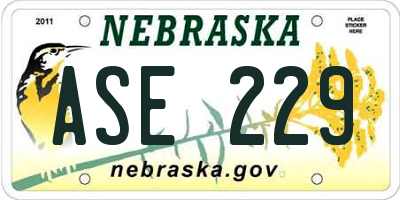NE license plate ASE229