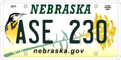 NE license plate ASE230