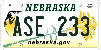 NE license plate ASE233