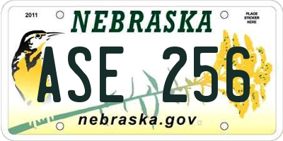 NE license plate ASE256
