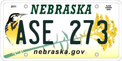 NE license plate ASE273