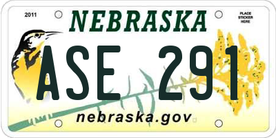 NE license plate ASE291