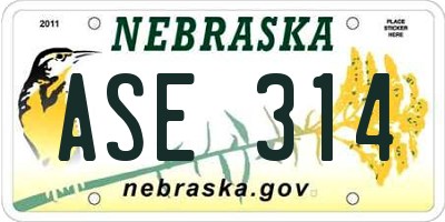 NE license plate ASE314