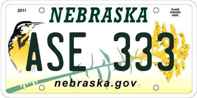 NE license plate ASE333