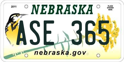 NE license plate ASE365