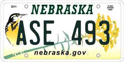 NE license plate ASE493