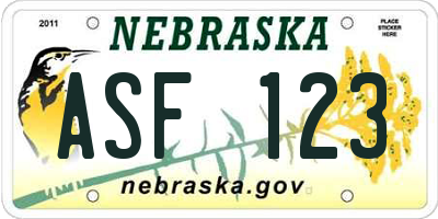 NE license plate ASF123