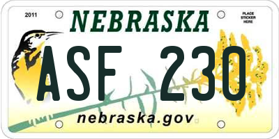 NE license plate ASF230