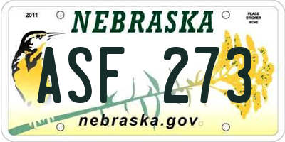 NE license plate ASF273