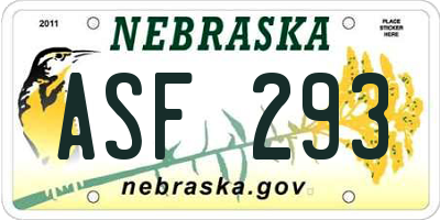 NE license plate ASF293