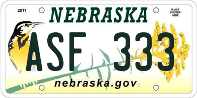 NE license plate ASF333