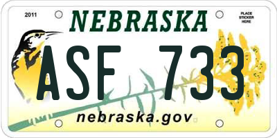 NE license plate ASF733